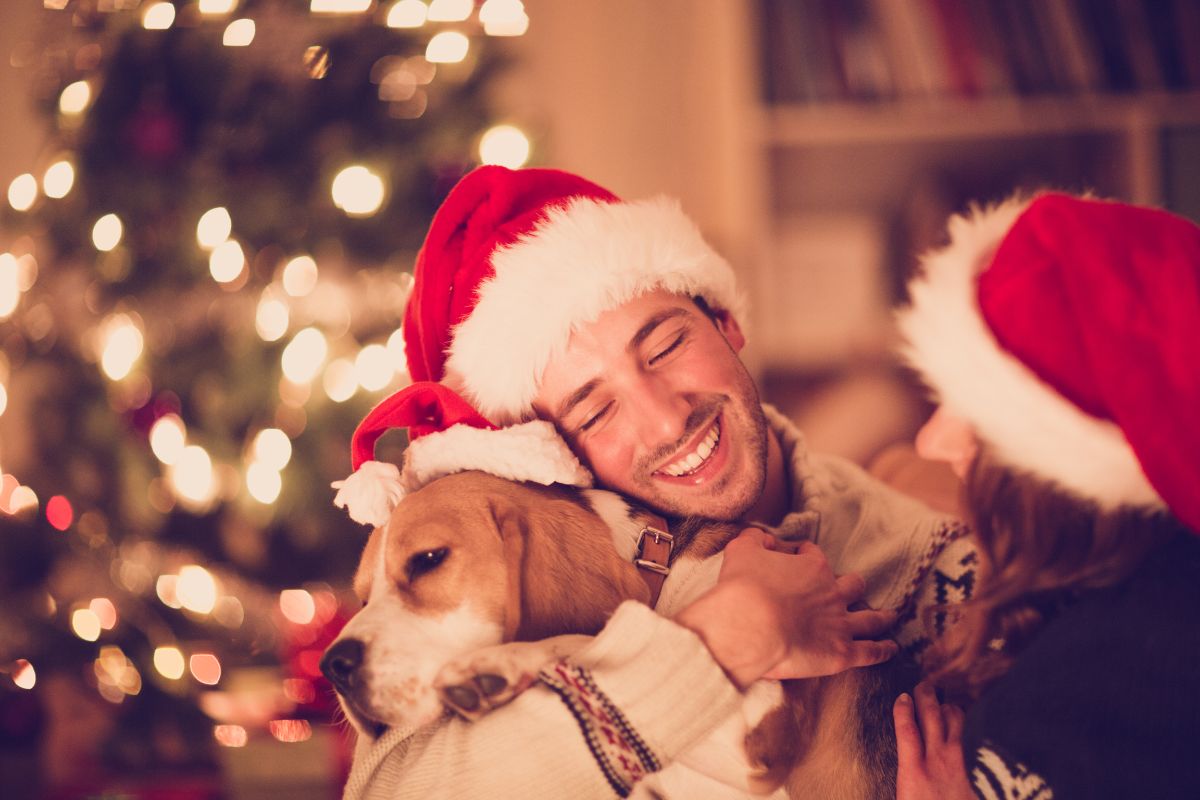 Christmas: The Joy, Traditions, and Spirit of the Season | The Business Tycoon