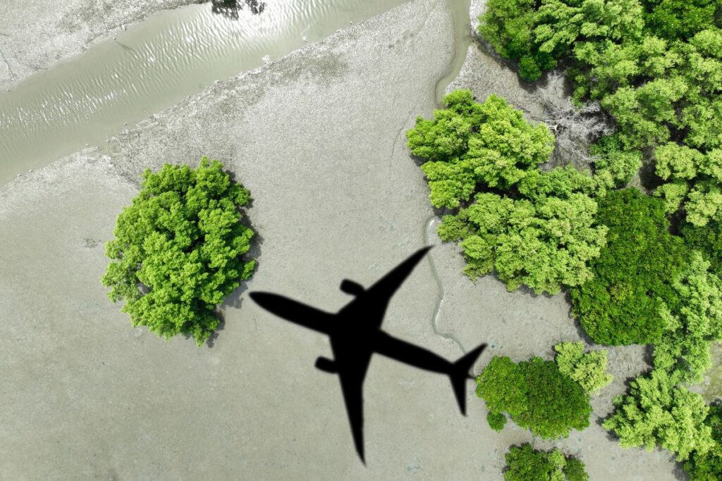 Sustainable Travel: How to Travel the World Without Leaving a Footprint | The Business Tycoon