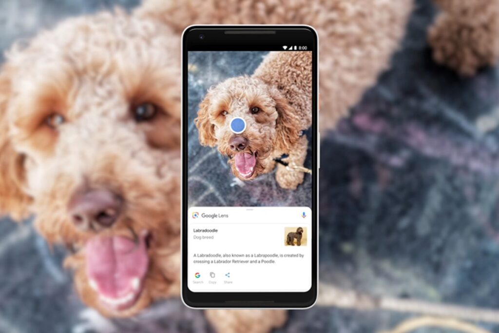 Search by Sight: Mastering Visual Search Optimization for E-Commerce and Beyond | The Business Tycoon