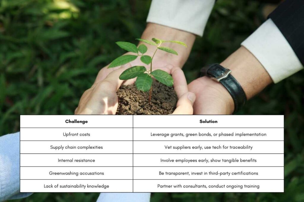 Green Means Go: Green Business Strategies Fueling Profit with Purpose | The Business Tycoon