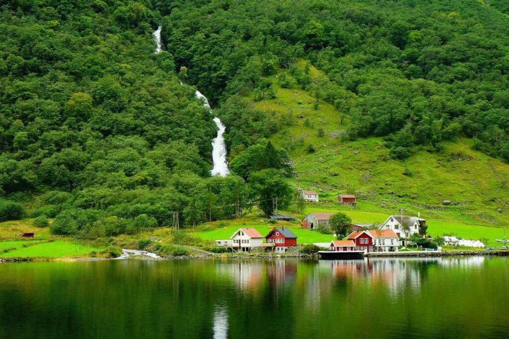 Carbon Credits or Greenwashing? The Business of Saving the Planet | The Business Tycoon