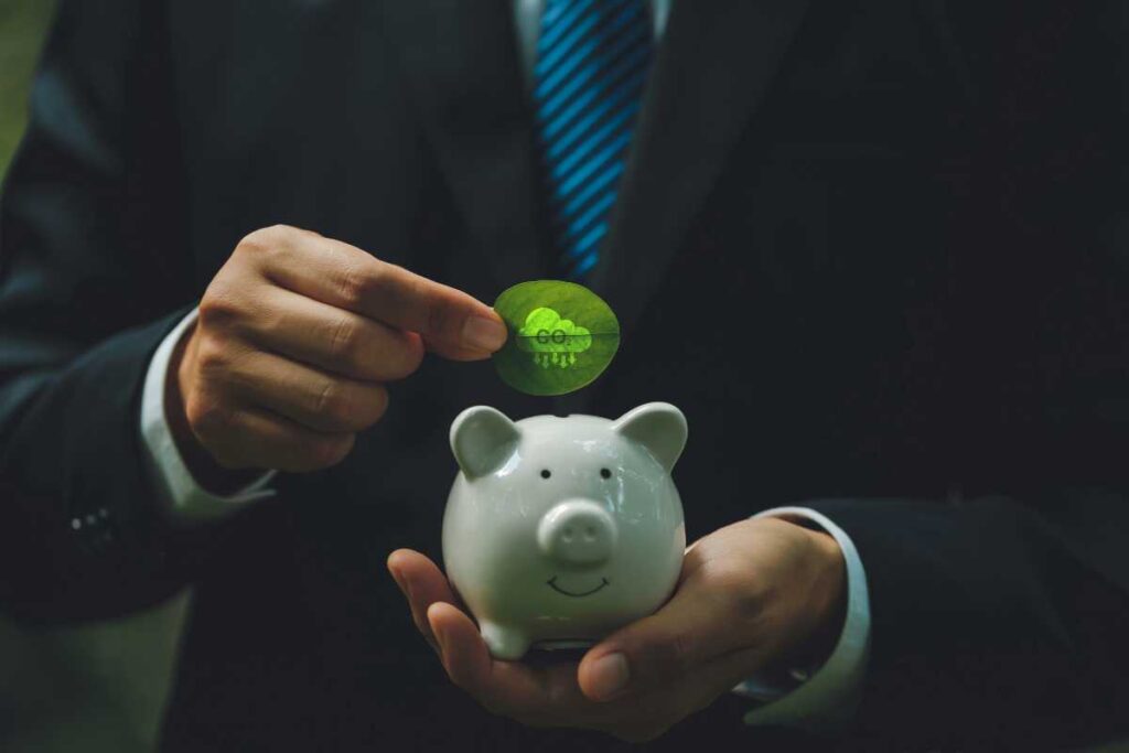 Carbon Credits or Greenwashing? The Business of Saving the Planet | The Business Tycoon