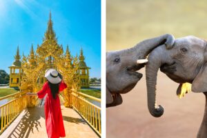 Thailand Unveiled: Temples, Tastes, and Tropical Escapes in the Land of Smiles 